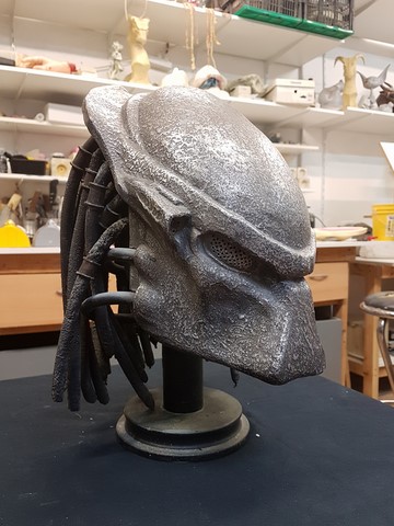 Casque predator